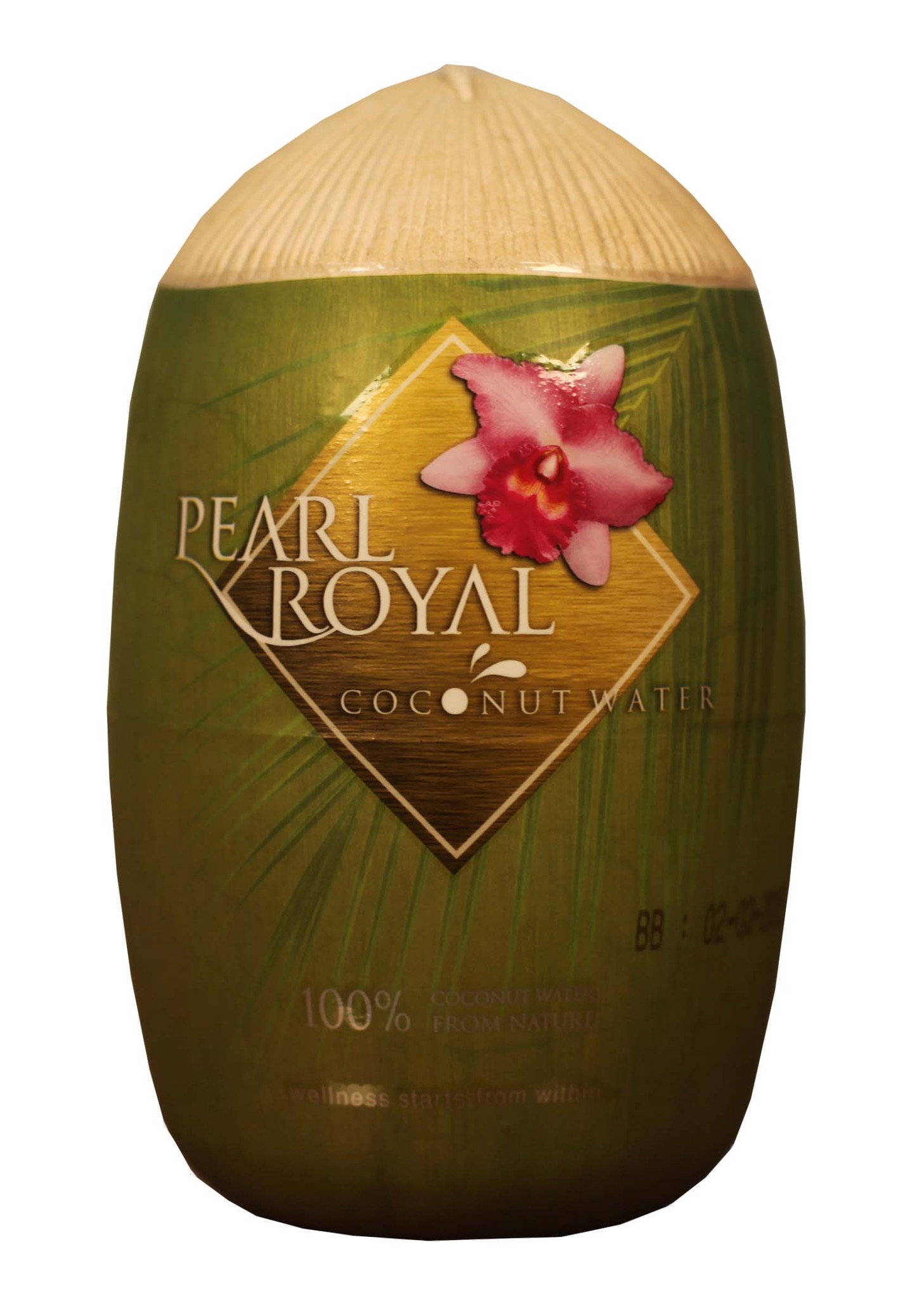 Кокосовая вода "Pearl Royal" в форме кокоса (БИО), 310 мл